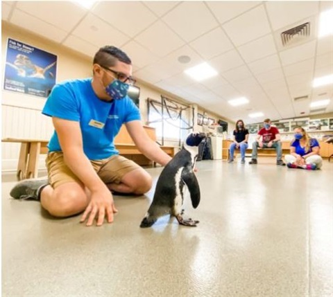 man with a penguin