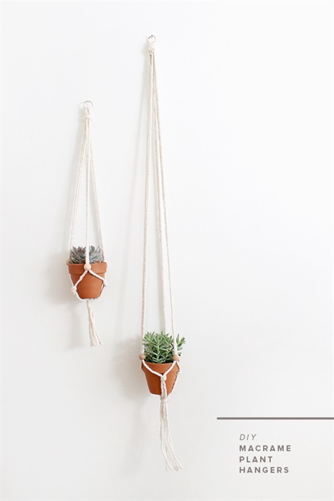 macrame-plant-hanging-mini.jpg
