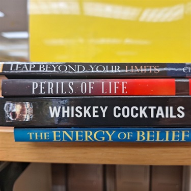 Book Spine Poetry Example 1