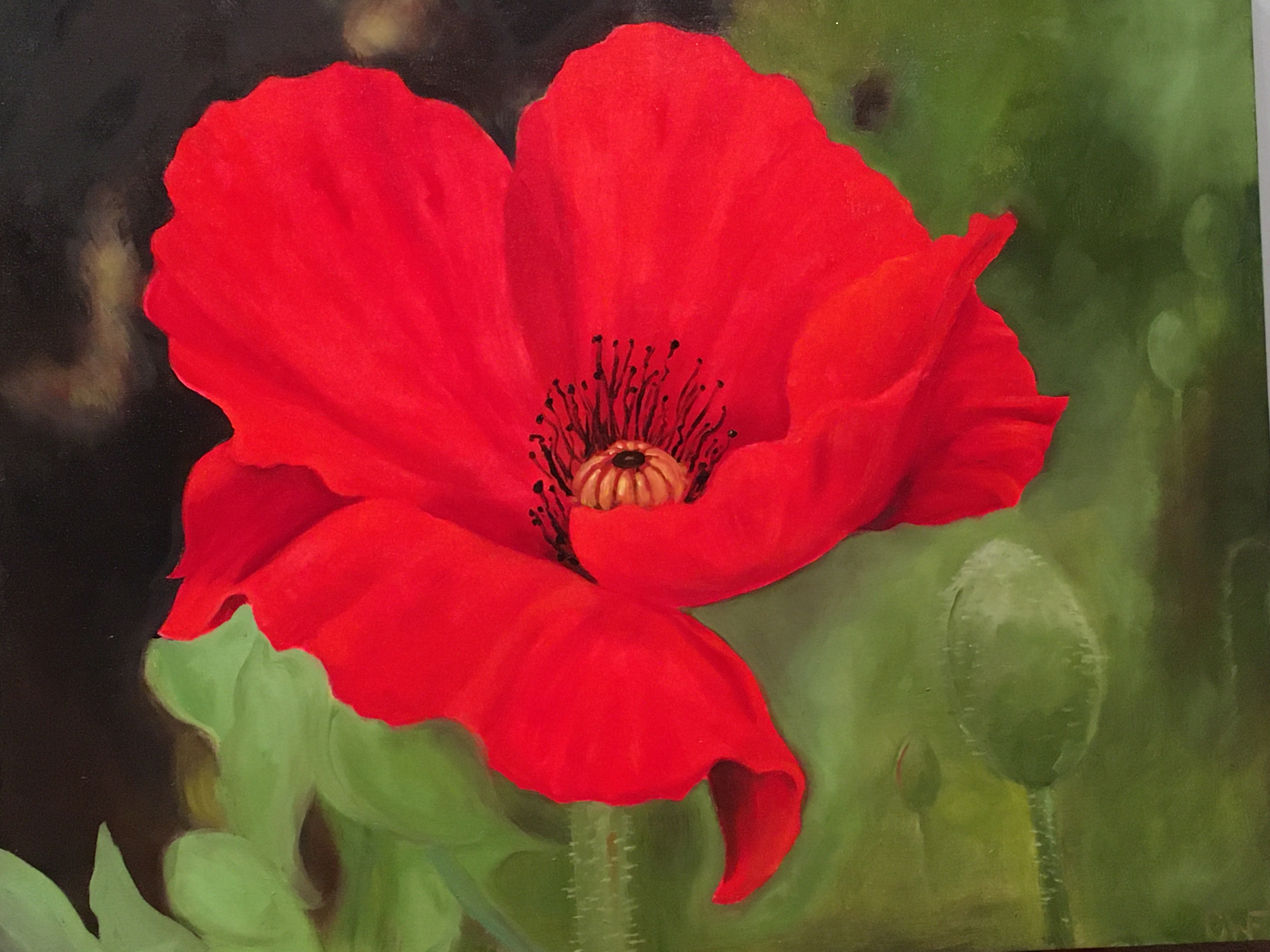 Poppy Oil Painting Gallery Exhibit November 2023