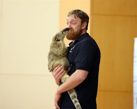 eyes of the wild animal ambassador .jpg